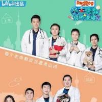 小主安康－宠物医院2 (2020) 