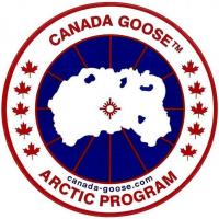 加拿大鹅 Canada Goose